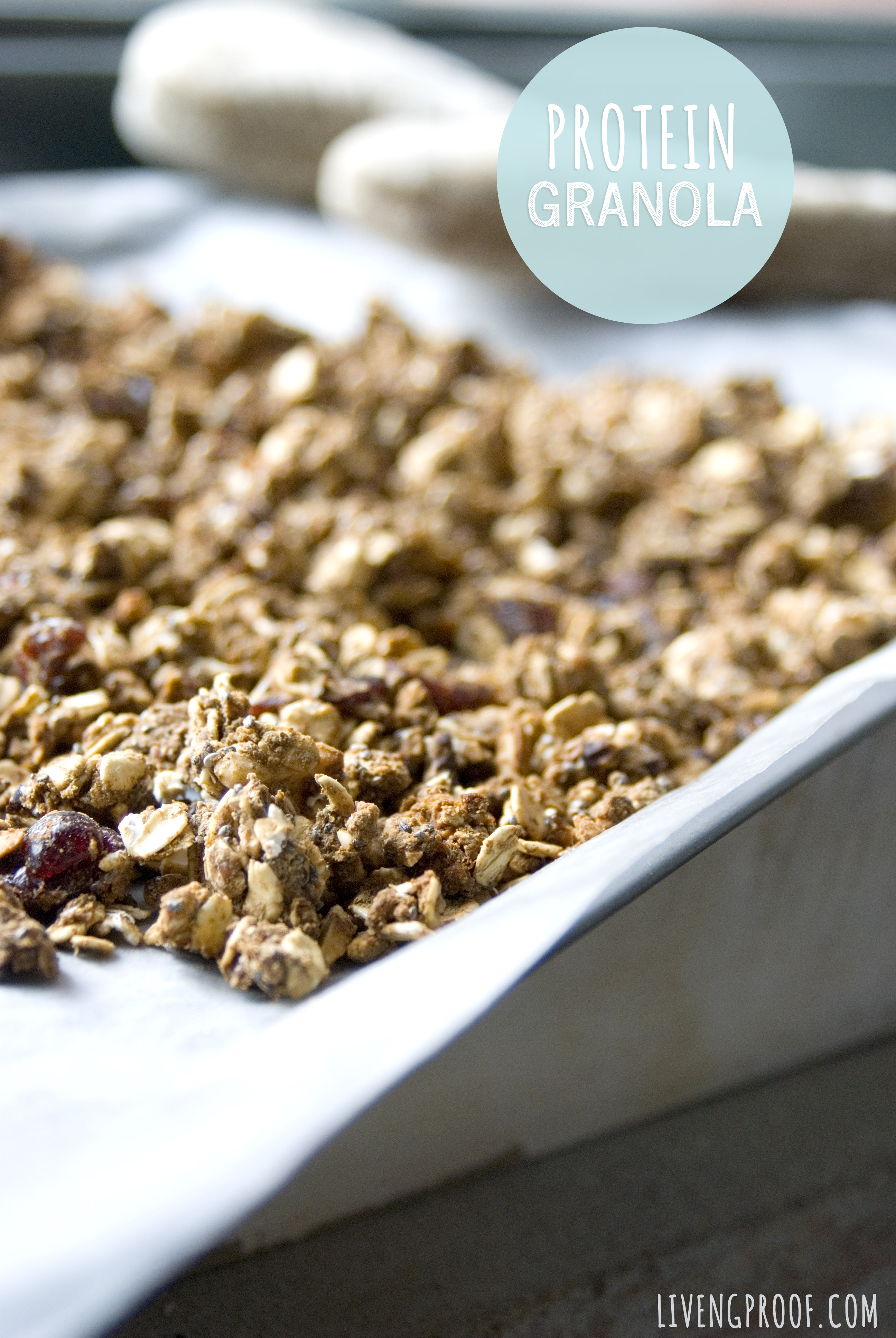 Protein Packed Granola Liveng Proof